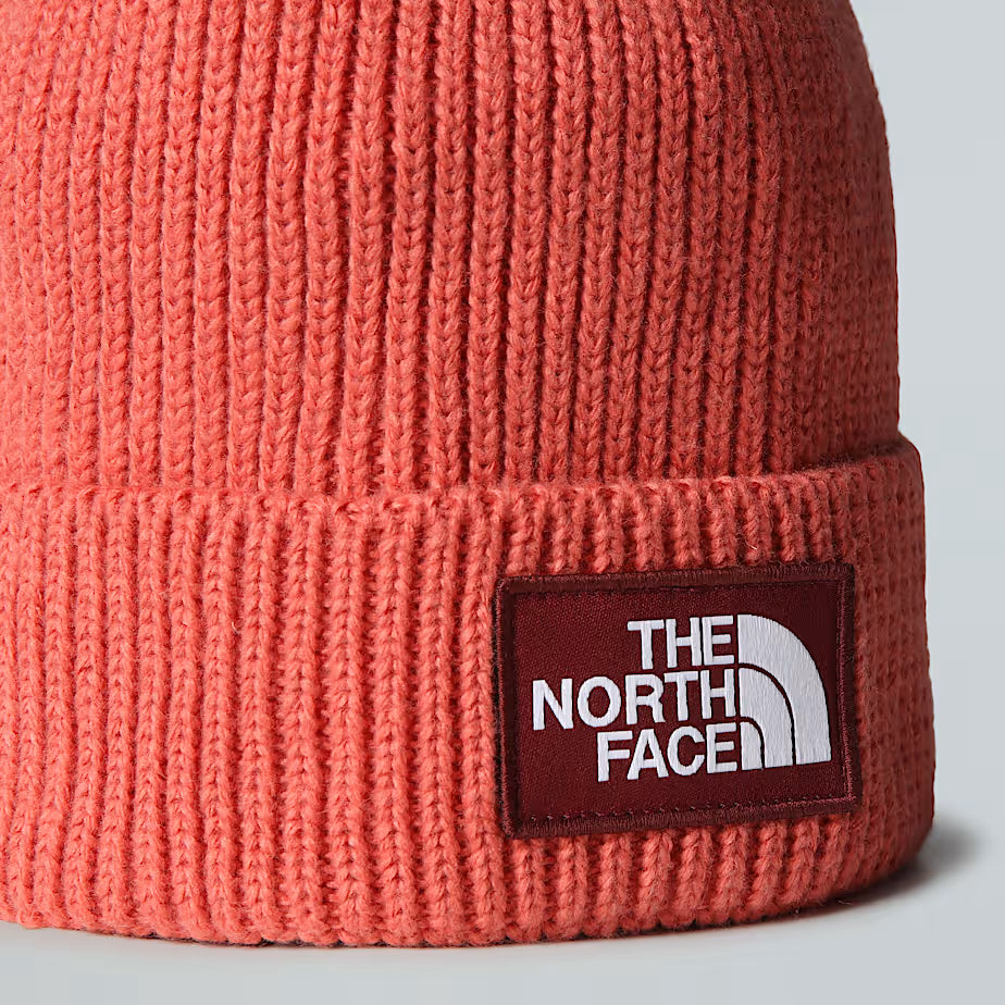 THE NORTH FACE Beanie with Cuff and Box Logo - MARS DUST/SUMAC