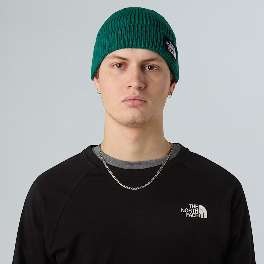 THE NORTH FACE Cuffed Beanie with Box Logo - EVERGREEN