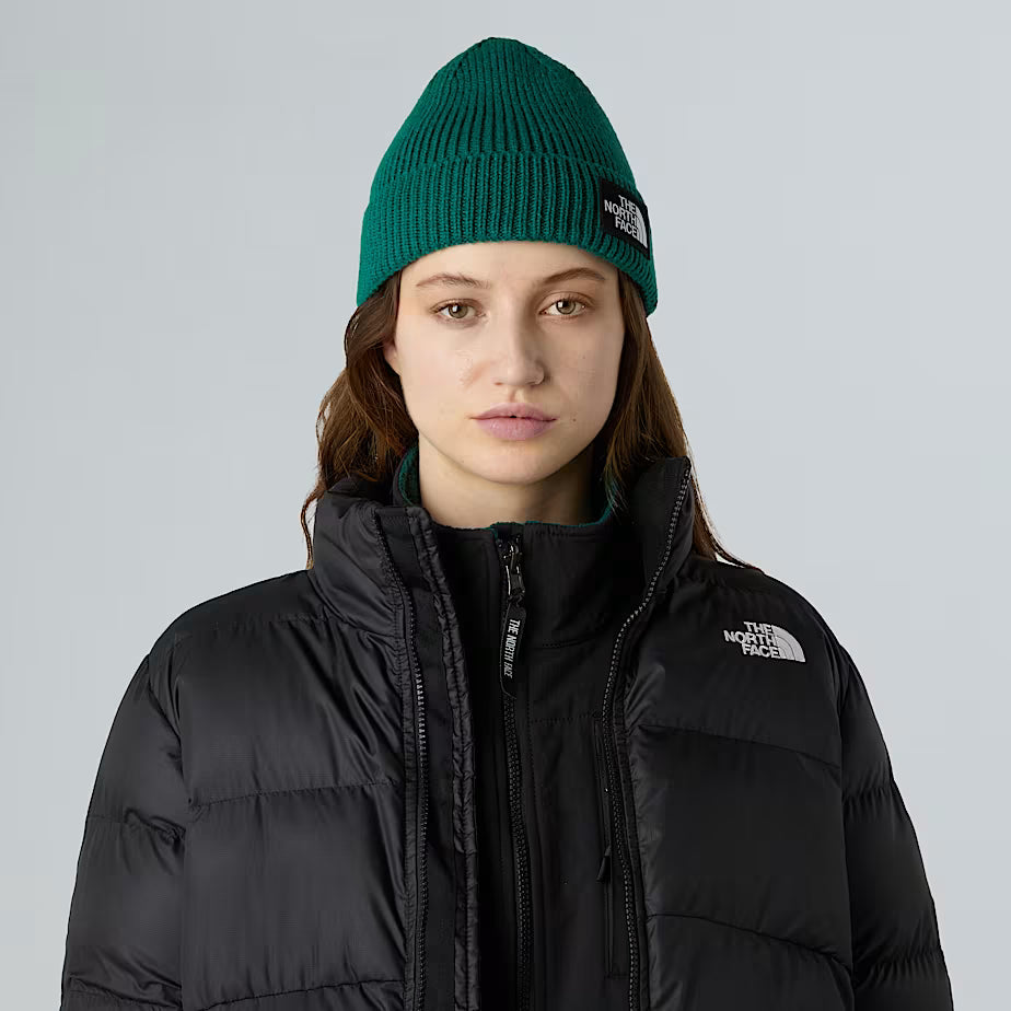 THE NORTH FACE Cuffed Beanie with Box Logo - EVERGREEN