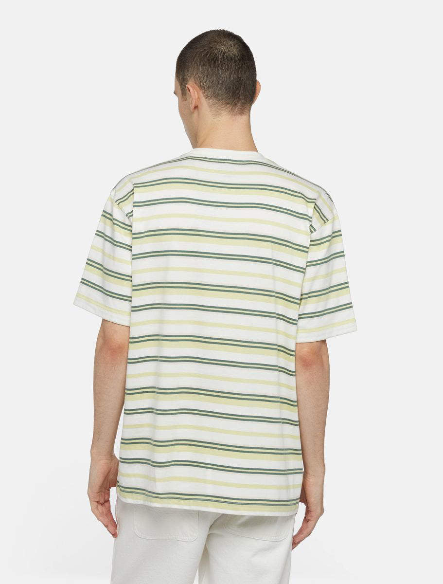 T-Shirt DICKIES Glade Spring a Strisce