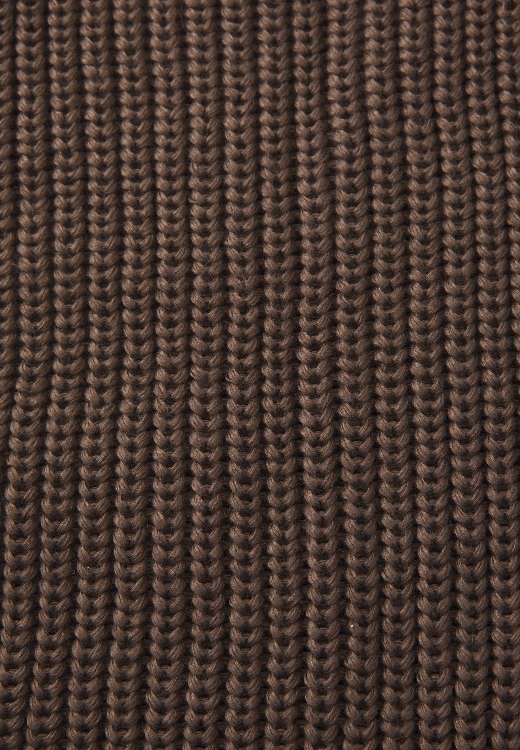 Lifestyle Hood The North Face – Smokey Brown