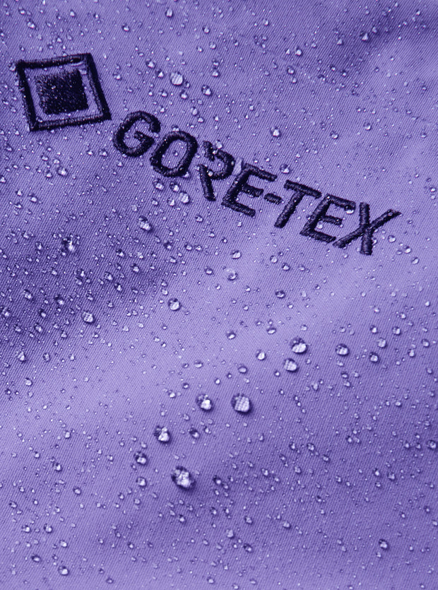 Burton Men's [ak]® Swash Insulated GORE-TEX 2L Pants - Purple Voltage