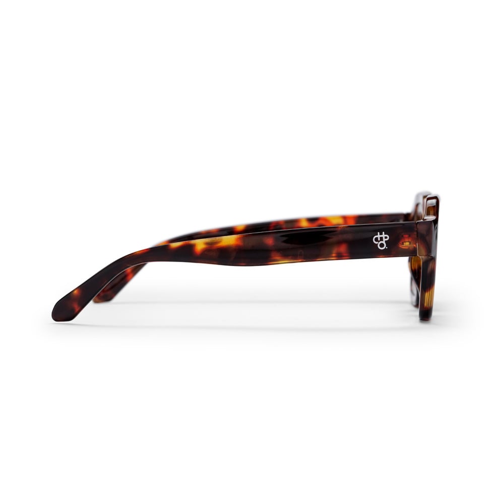 Occhiali da Sole CHPO The AK MARRONE TARTARUGA \ Lenti MARRONE CHIARO