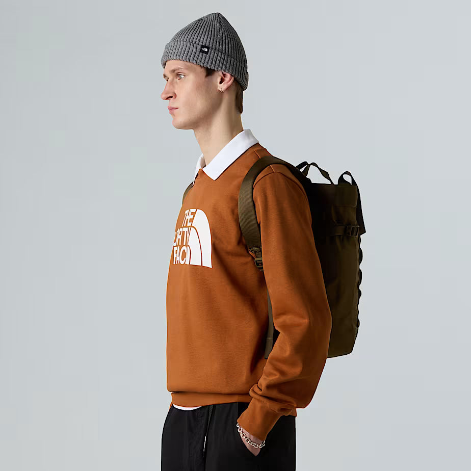 THE NORTH FACE Base Camp Tote Pack Backpack – CARAWAY SEED/SYCAMORE