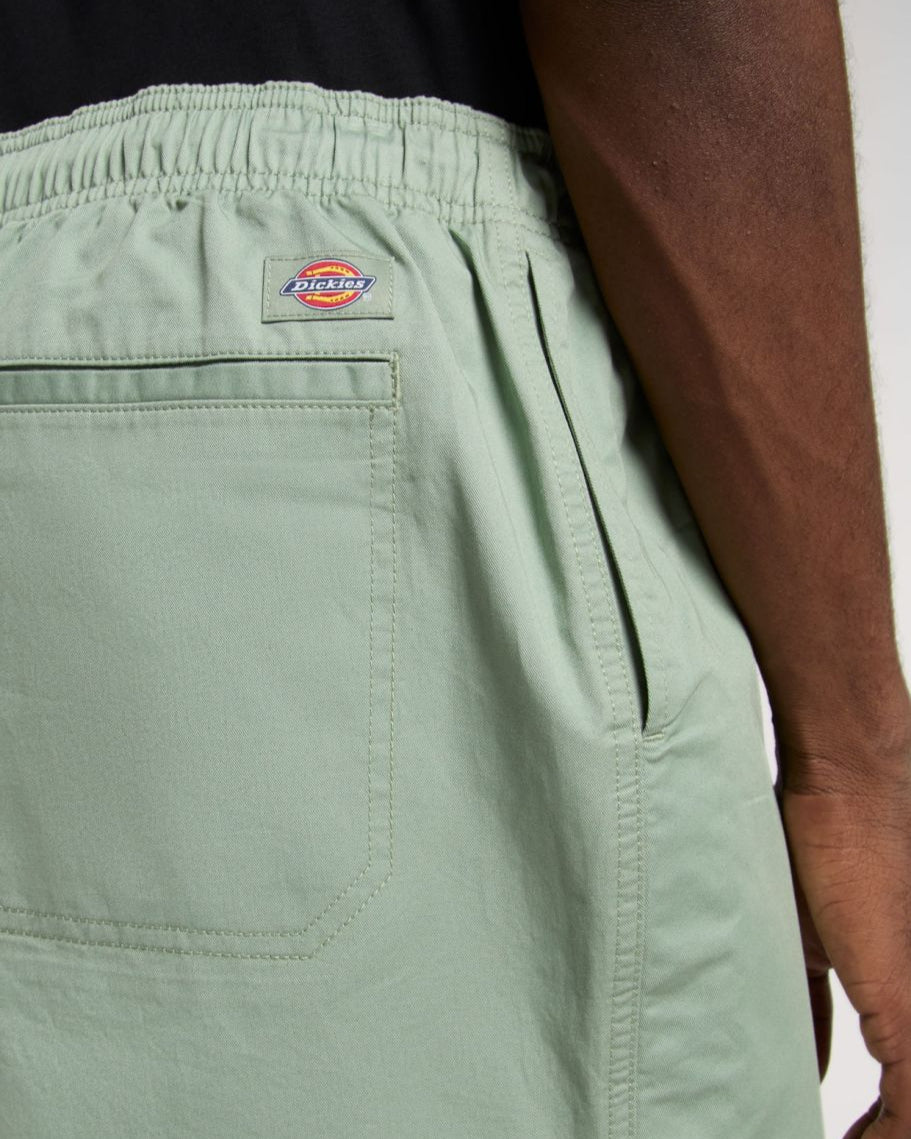 DICKIES Pelican Rapids Shorts