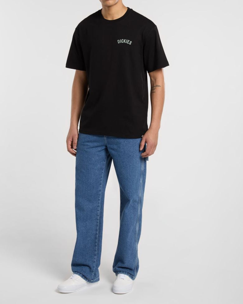 T-Shirt DICKIES Snake NERA