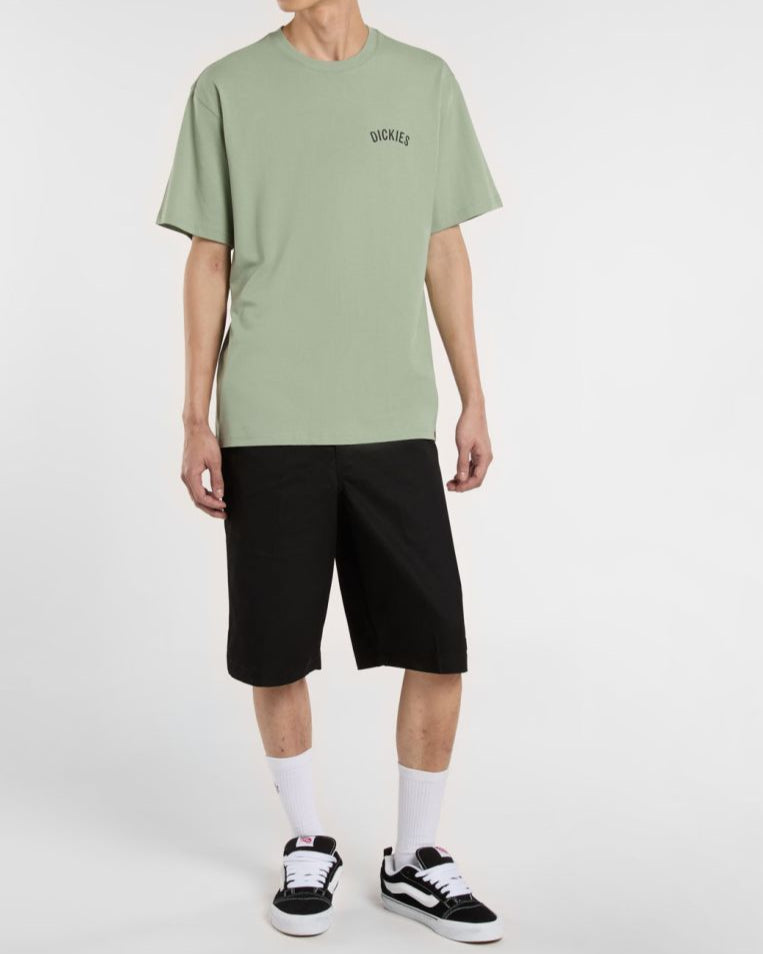 T-Shirt DICKIES Snake