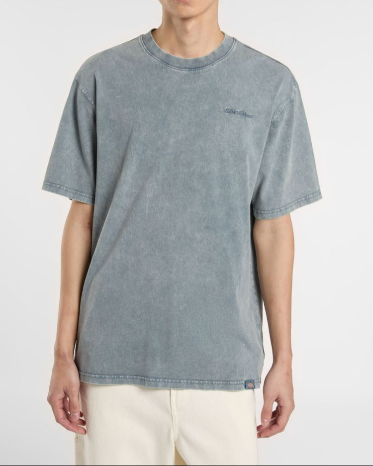 T-shirt DICKIES Plentywood GRIGIA