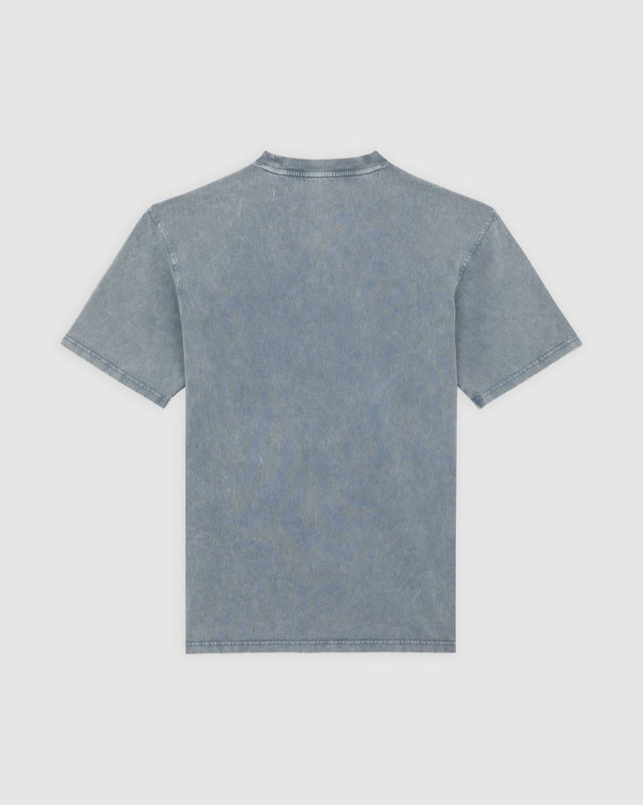 T-shirt DICKIES Plentywood GRIGIA
