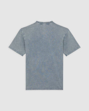 T-shirt DICKIES Plentywood GRIGIA