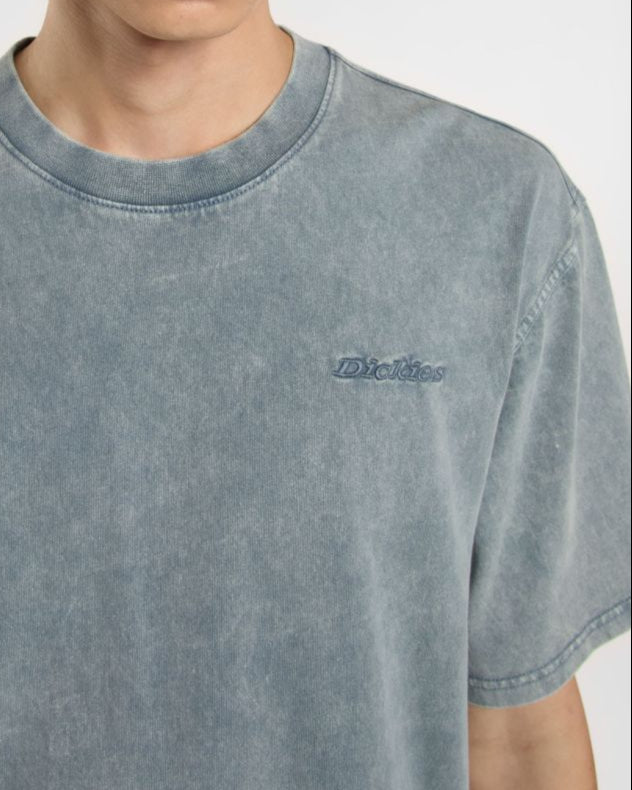 T-shirt DICKIES Plentywood GRIGIA