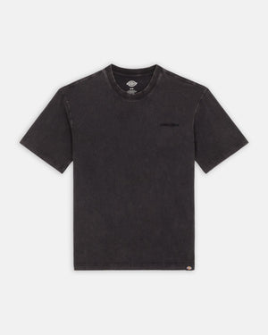 T-shirt DICKIES Plentywood NERA