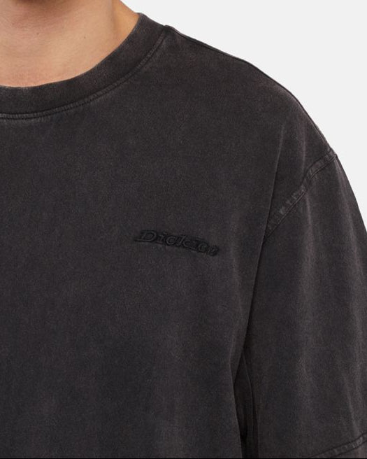 T-shirt DICKIES Plentywood NERA