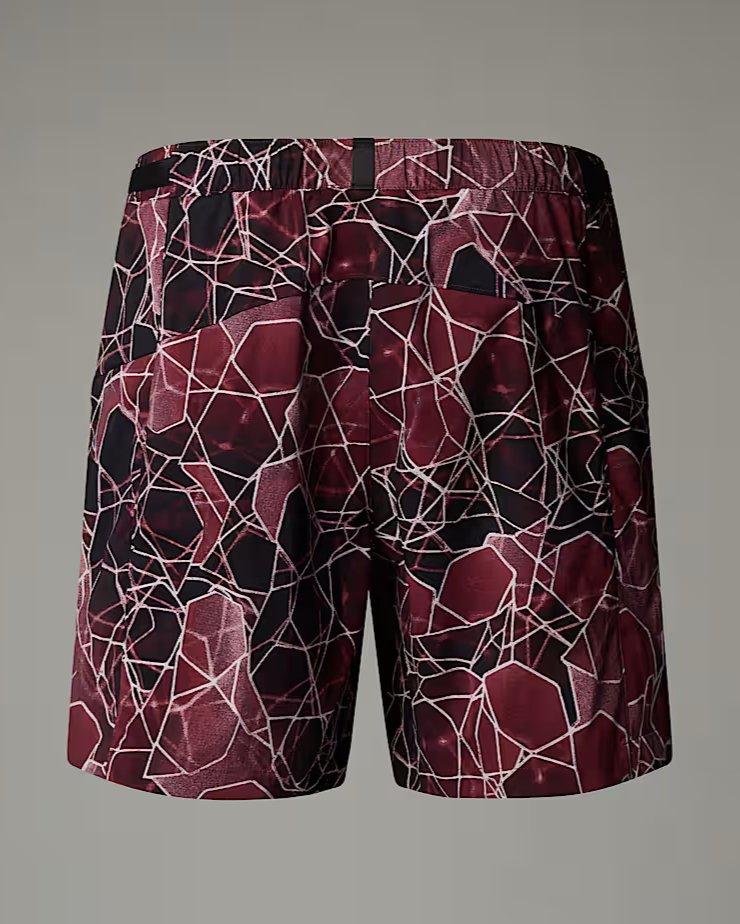 THE NORTH FACE Men's Class V Pathfinder Belted Shorts - 7" BROWN STRIPED