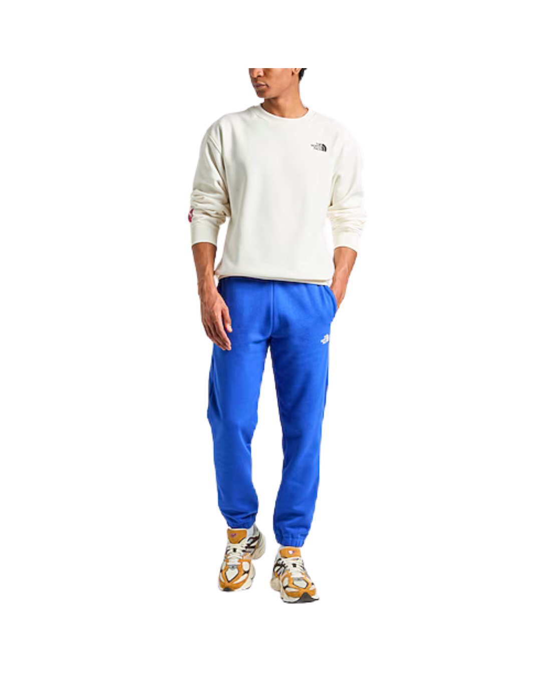 Pantaloni Tuta THE NORTH FACE Axys Jogger - Blue