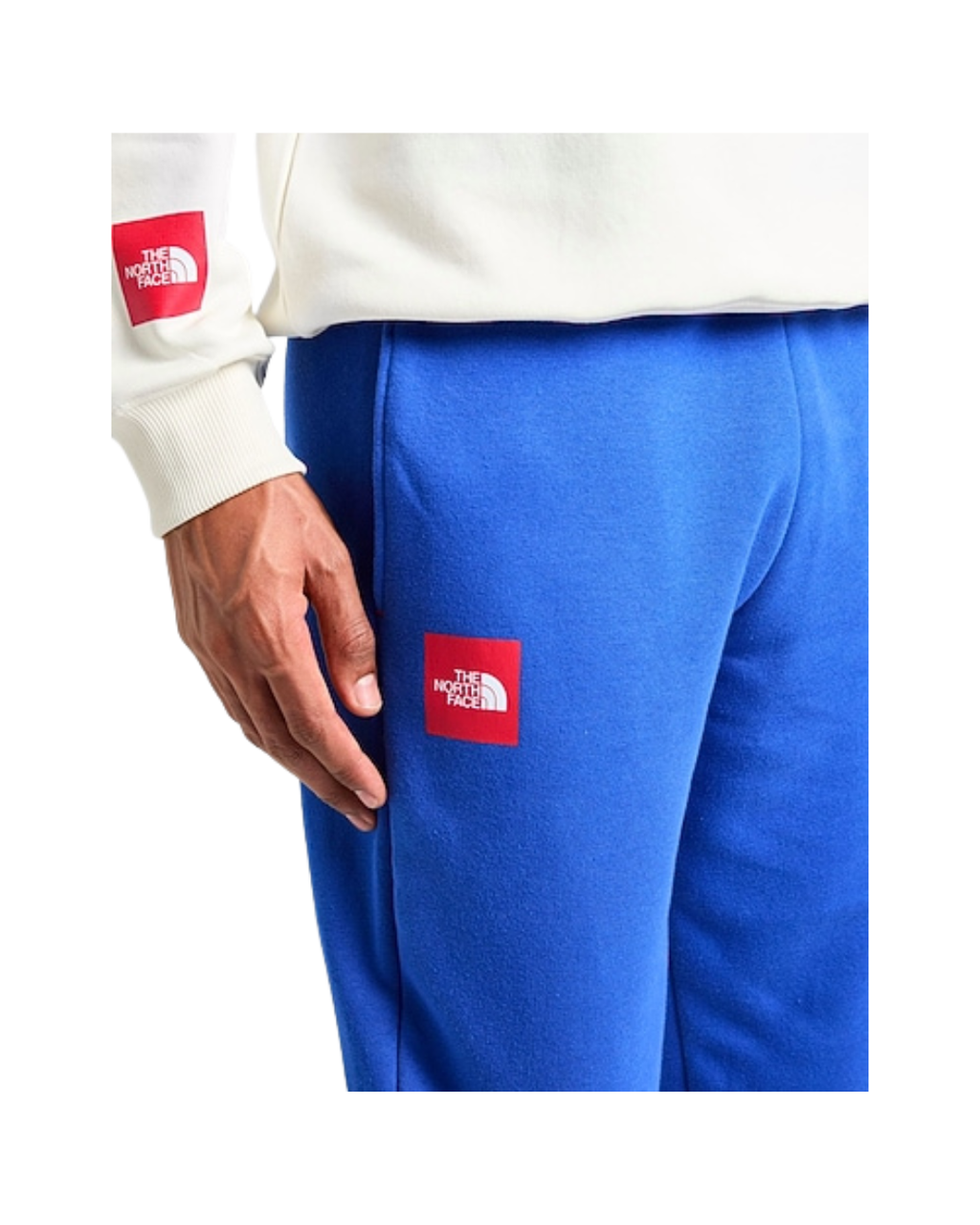 Pantaloni Tuta THE NORTH FACE Axys Jogger - Blue