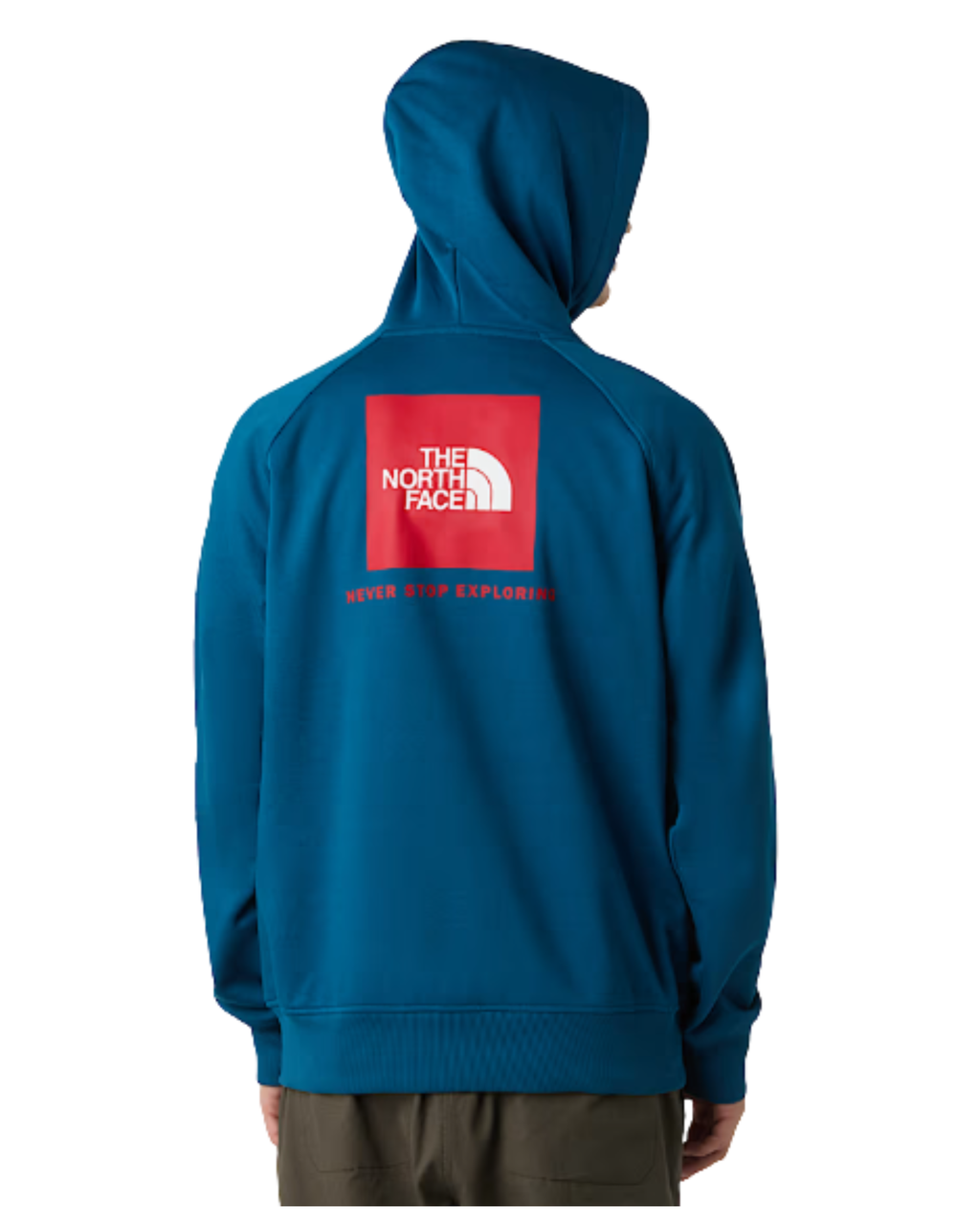 Felpa THE NORTH FACE Raglan Box NSE Hoodie  Mineral Ink