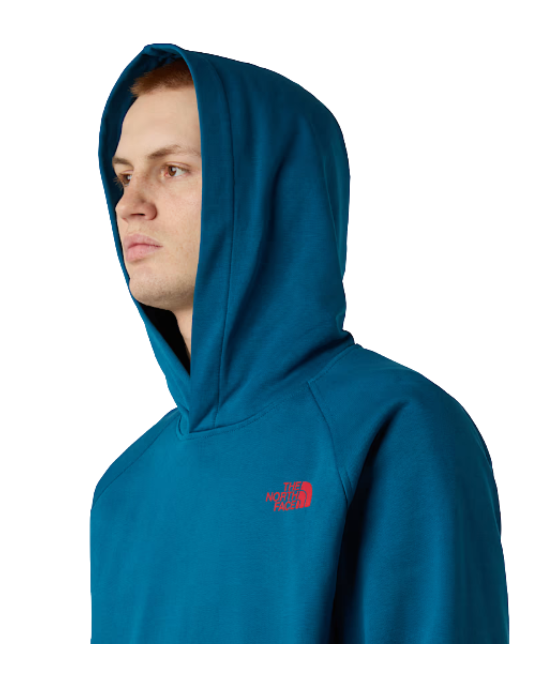 Felpa THE NORTH FACE Raglan Box NSE Hoodie  Mineral Ink