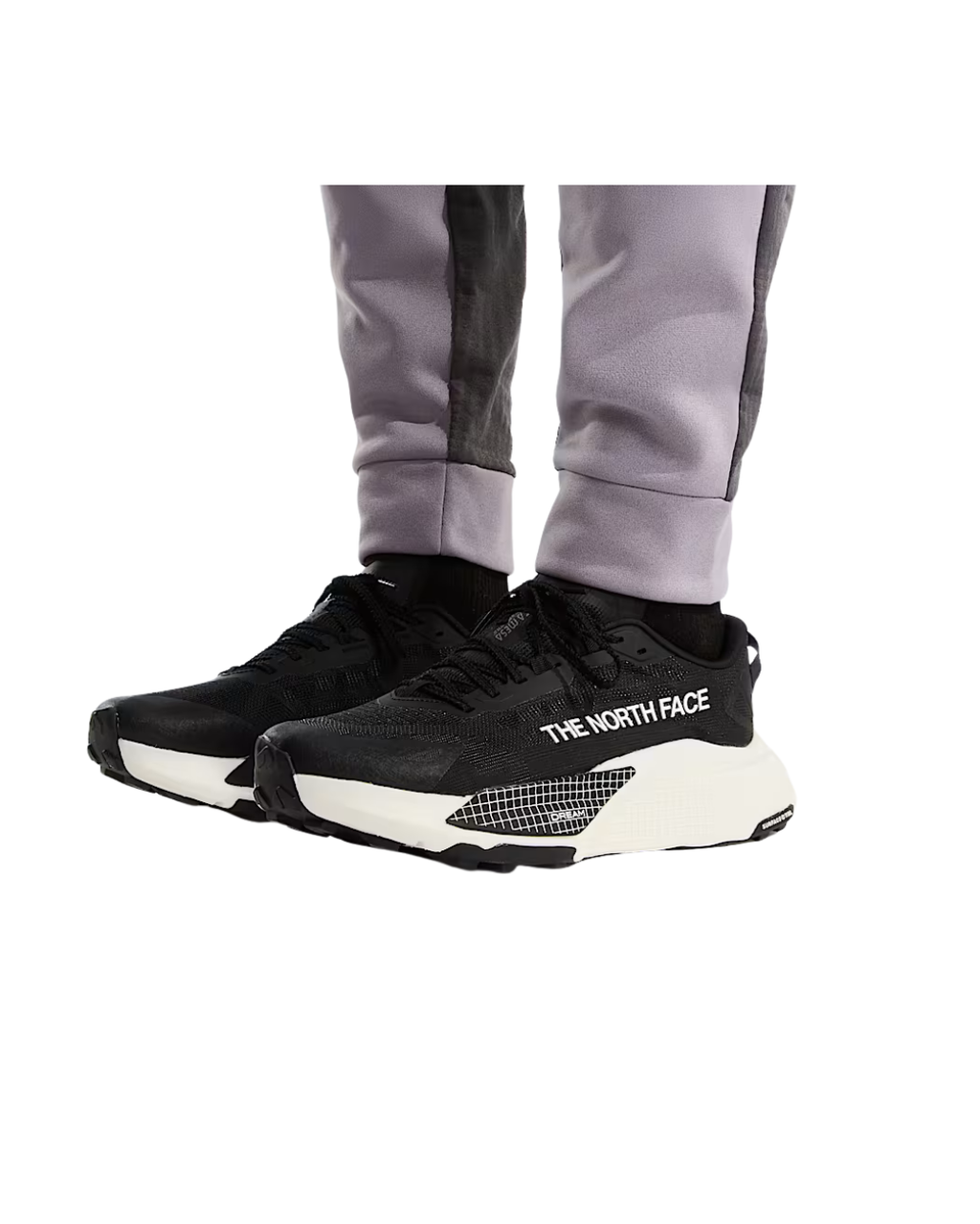 Scarpe THE NORTH FACE  Altamesa 500 V2 - Black - White