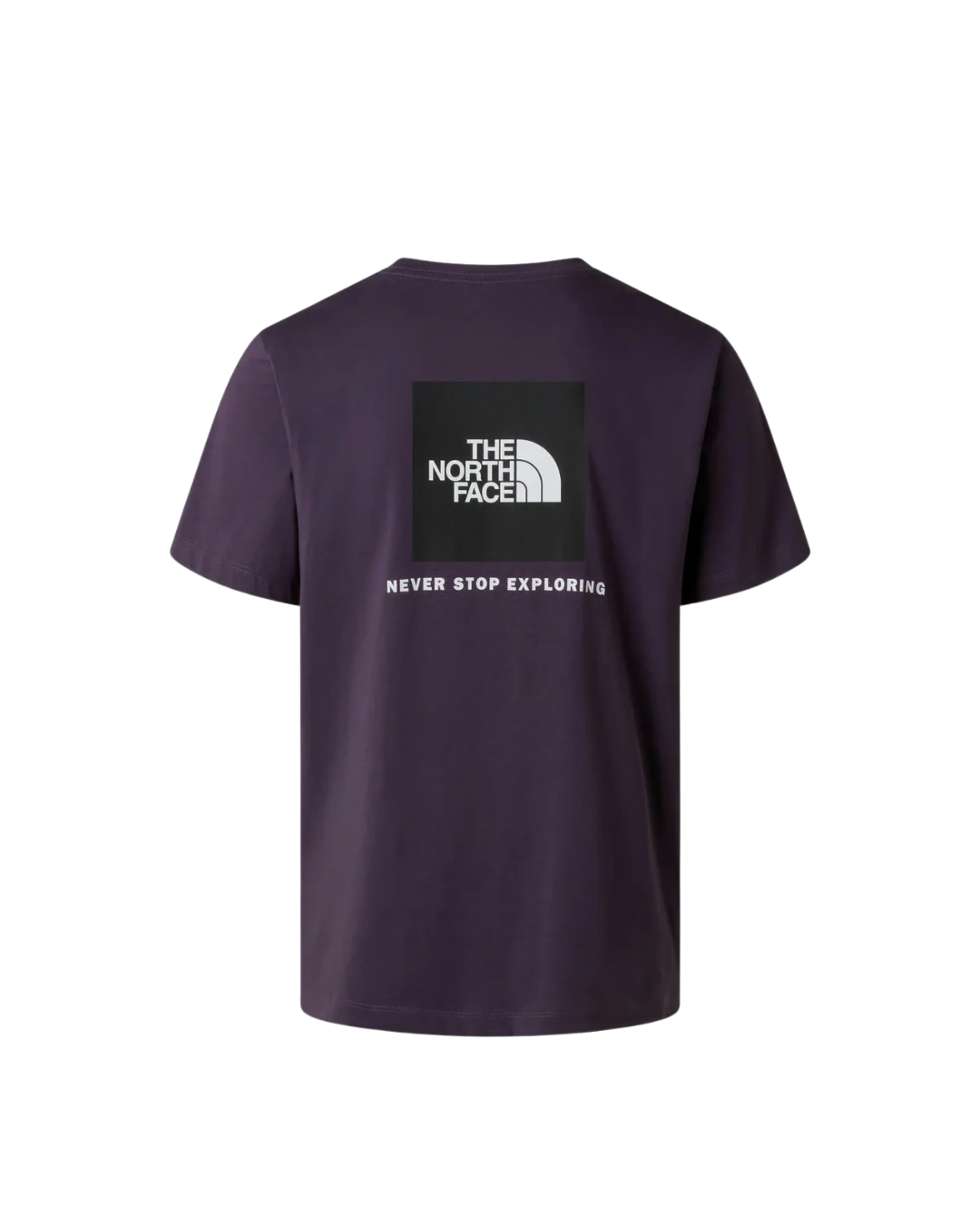 T-shirt THE NORTH FACE  Evolution NSE Box  - Endless Dusk