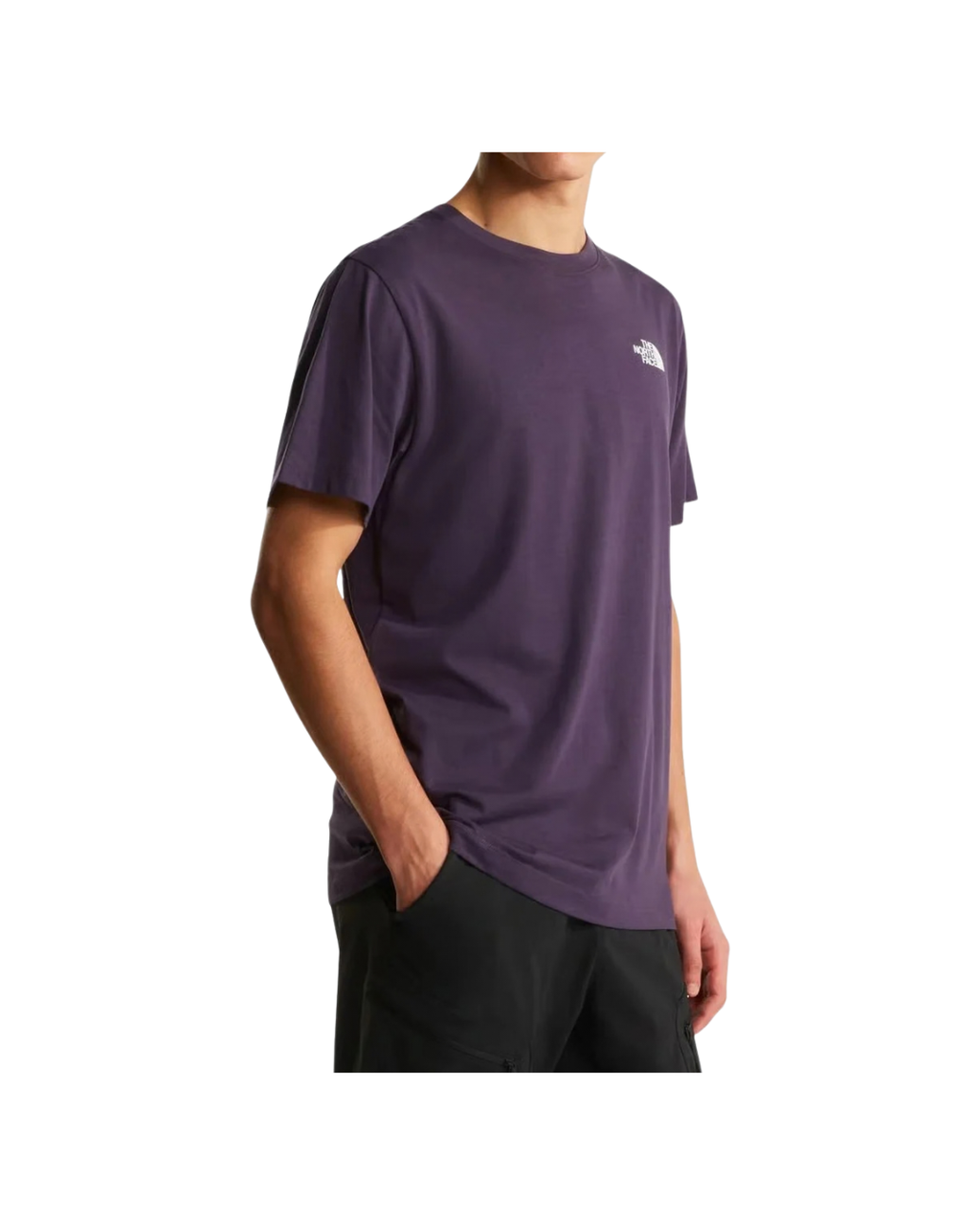 T-shirt THE NORTH FACE  Evolution NSE Box  - Endless Dusk