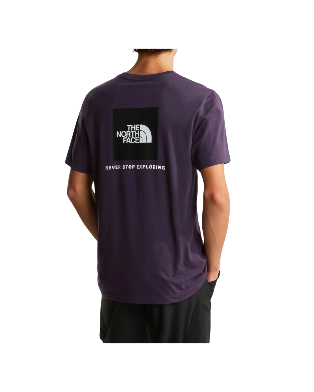 T-shirt THE NORTH FACE  Evolution NSE Box  - Endless Dusk