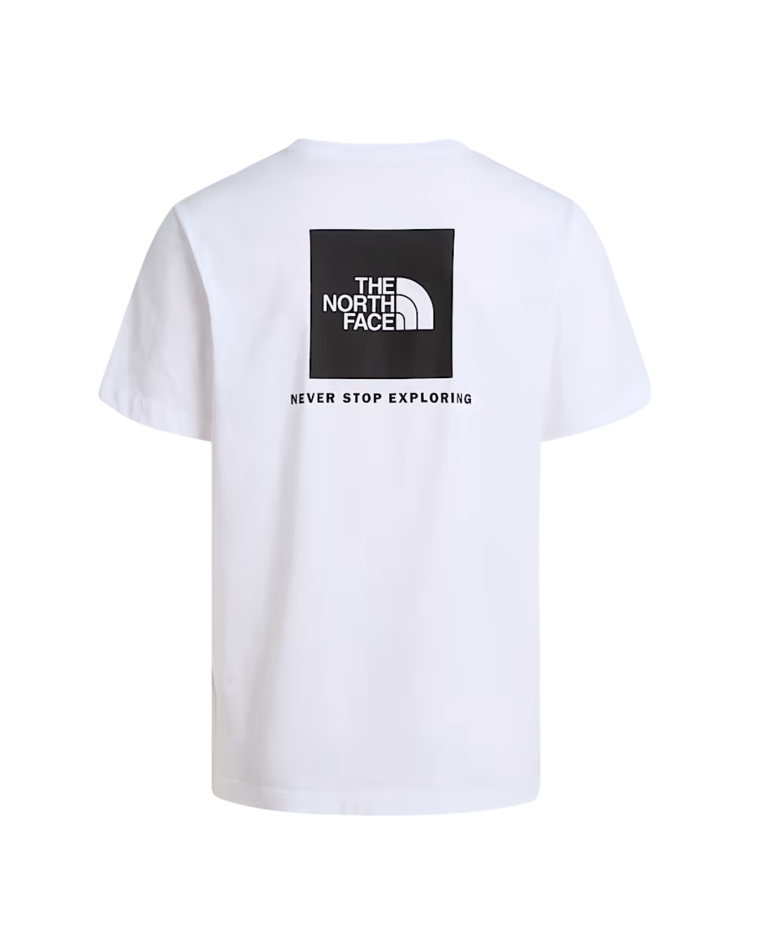T-shirt THE NORTH FACE  Evolution NSE Box  - White