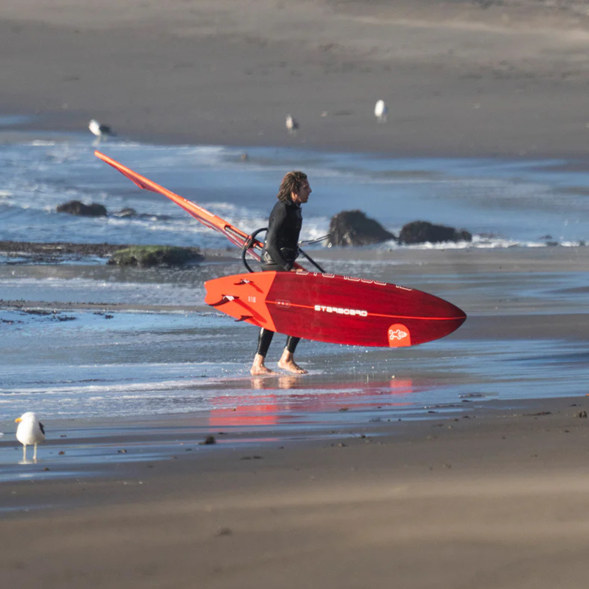 Tavola Windsurf STARBOARD "Kode"