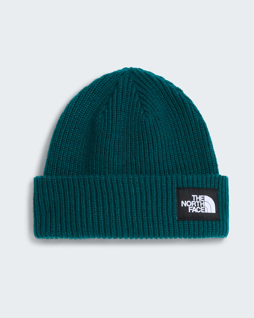Berretto The North Face Salty Lined Beanie Unisex  - Pacific Teal