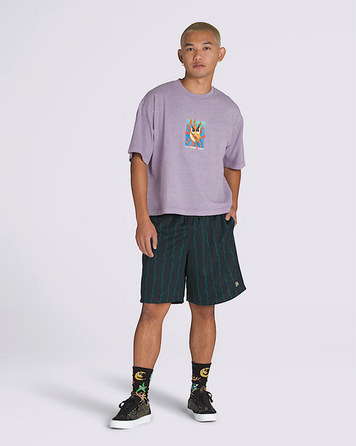 Bermuda Vans Skate Loose 20"