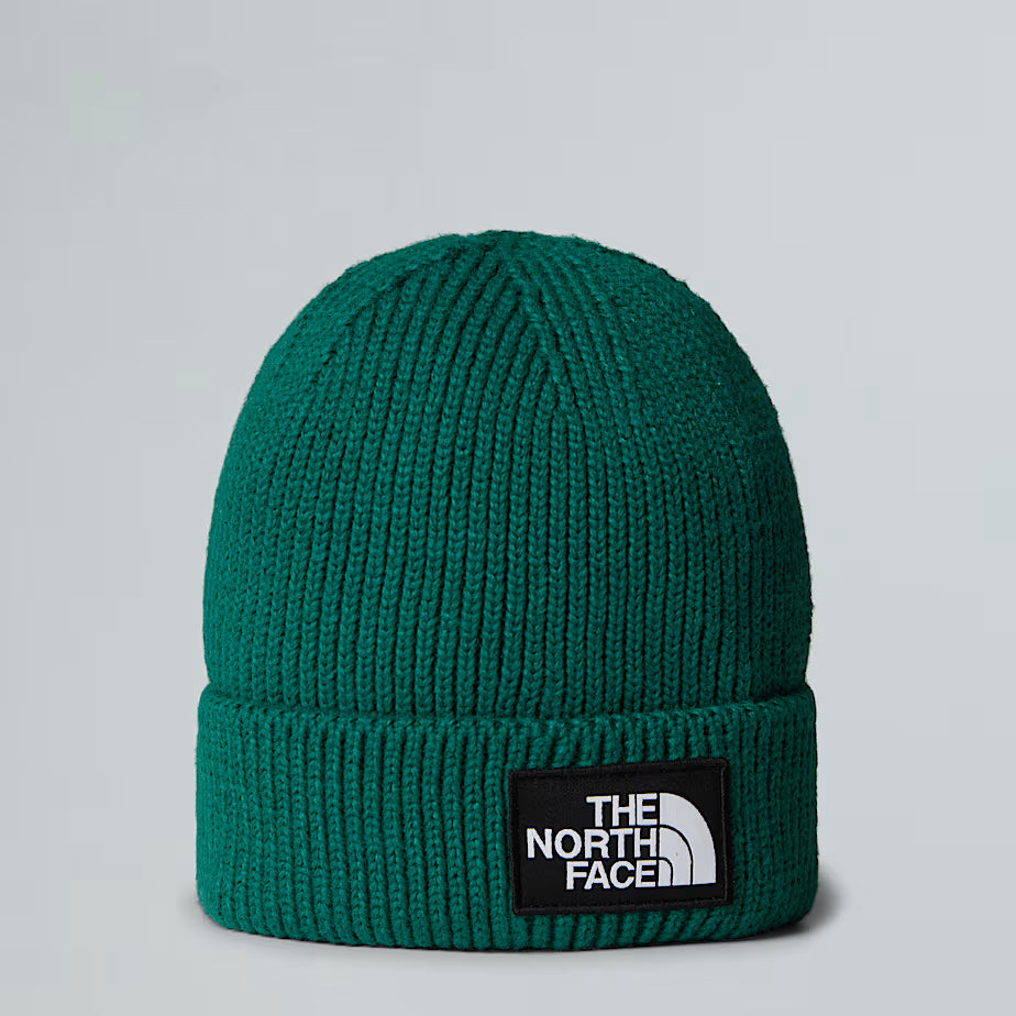 THE NORTH FACE Cuffed Beanie with Box Logo - EVERGREEN