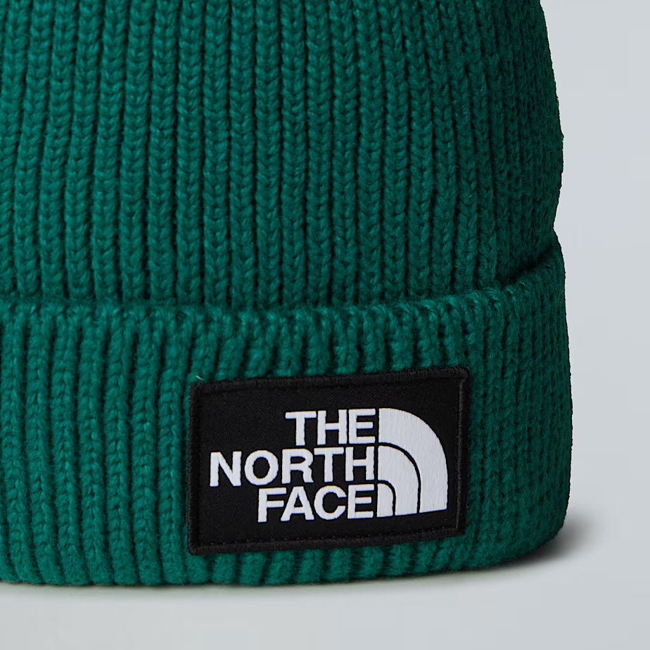 THE NORTH FACE Cuffed Beanie with Box Logo - EVERGREEN