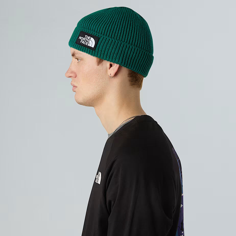 THE NORTH FACE Cuffed Beanie with Box Logo - EVERGREEN