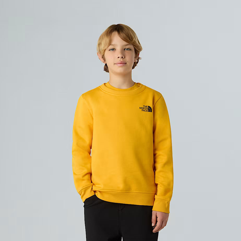 Felpa THE NORTH FACE Redbox da ragazzi SUMMIT GOLD (6-16 anni)