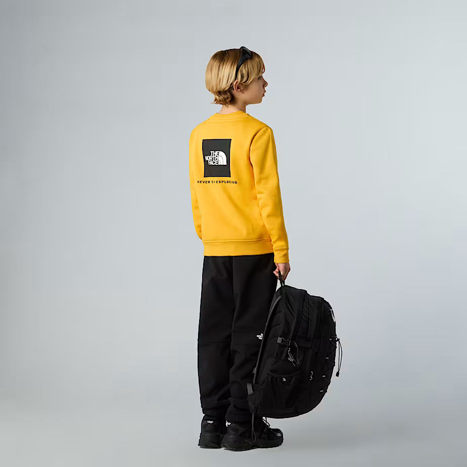Felpa THE NORTH FACE Redbox da ragazzi SUMMIT GOLD (6-16 anni)