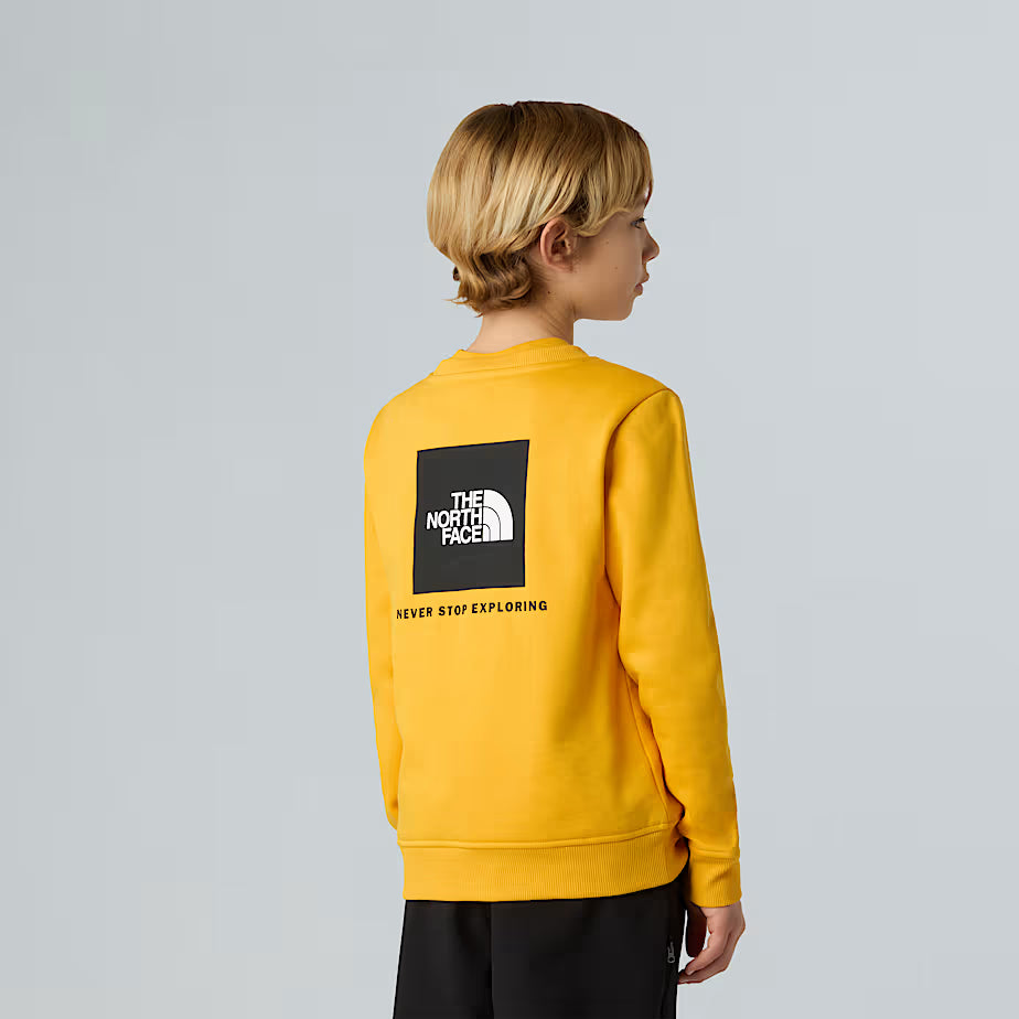 THE NORTH FACE Redbox Boys' Summit Gold Hoodie (Ages 6-16)