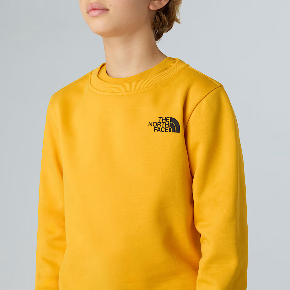 THE NORTH FACE Redbox Boys' Summit Gold Hoodie (Ages 6-16)