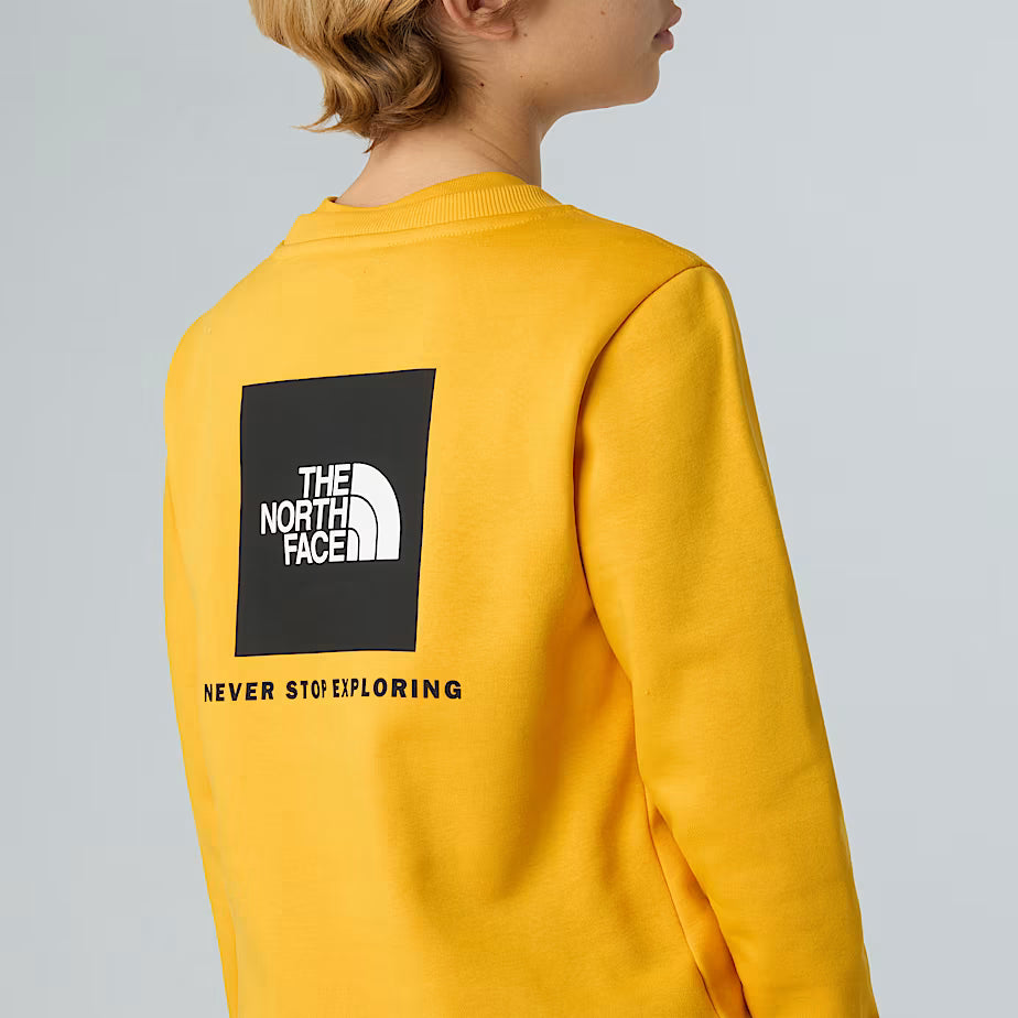 THE NORTH FACE Redbox Boys' Summit Gold Hoodie (Ages 6-16)