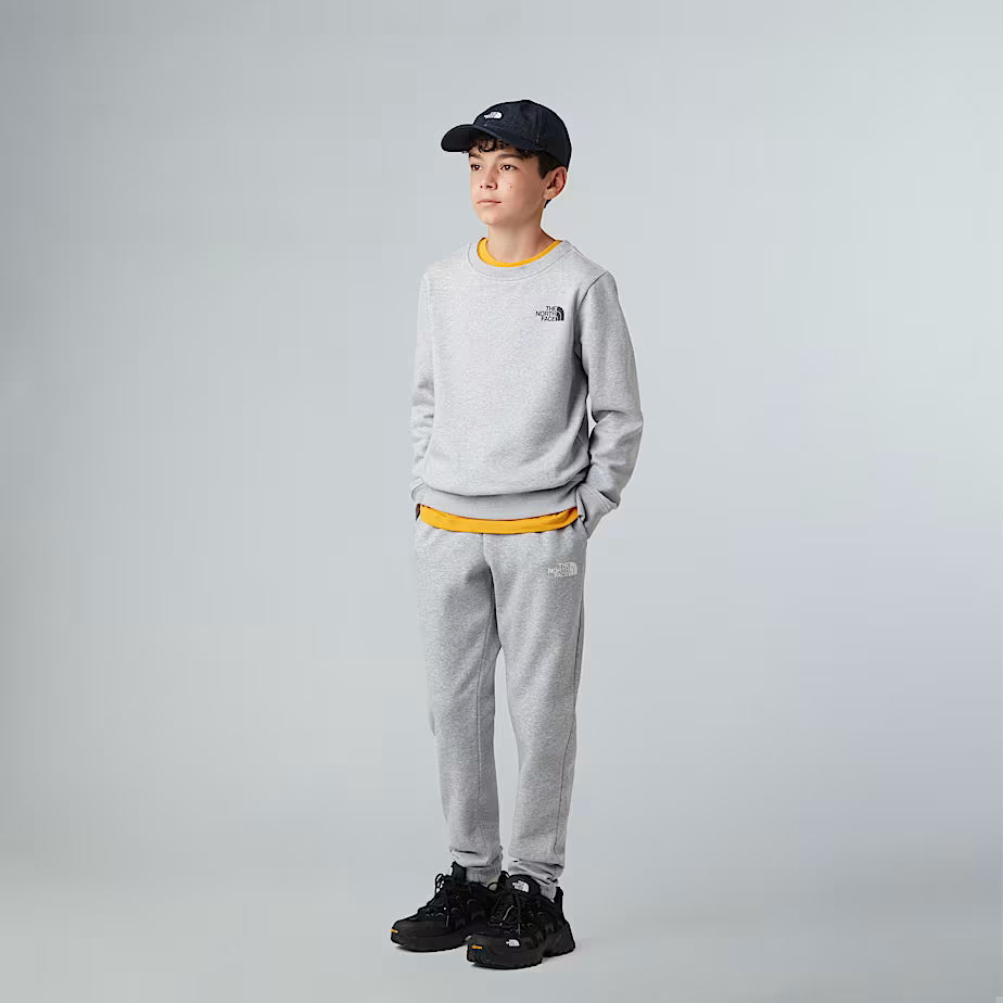 Felpa THE NORTH FACE Redbox da ragazzi TNF LIGHT GREY (6-16 anni)
