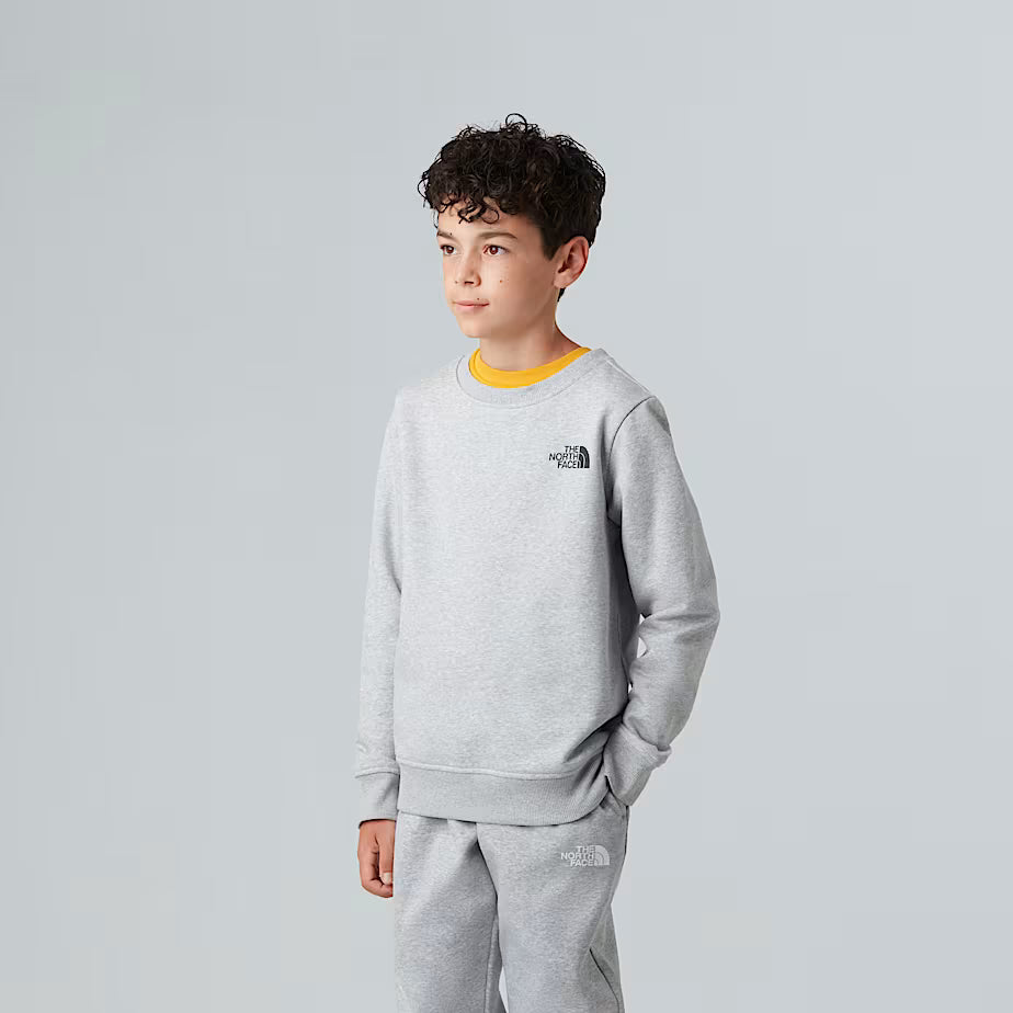 Felpa THE NORTH FACE Redbox da ragazzi TNF LIGHT GREY (6-16 anni)