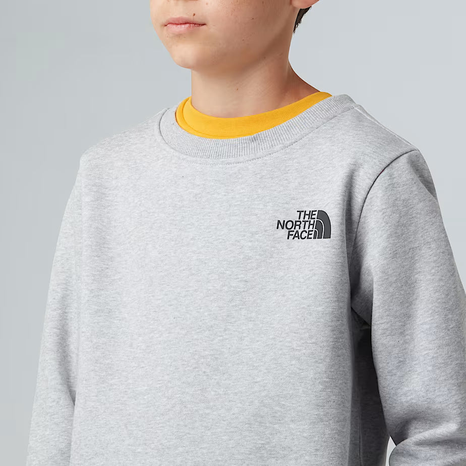 Felpa THE NORTH FACE Redbox da ragazzi TNF LIGHT GREY (6-16 anni)