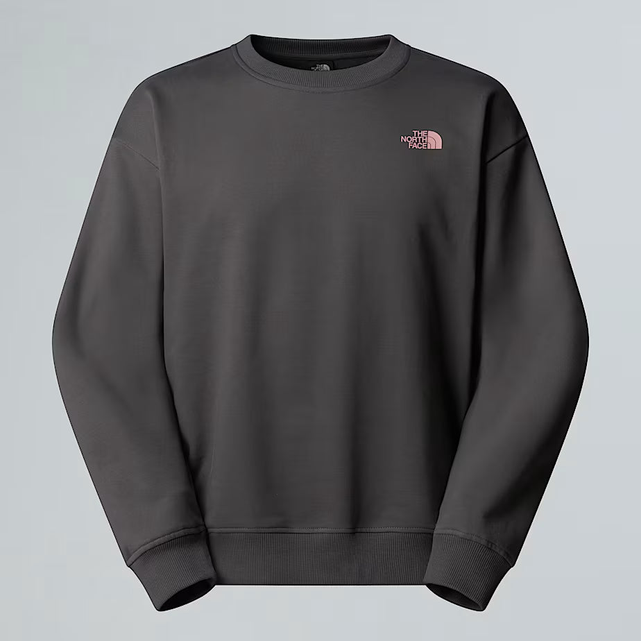 THE NORTH FACE Oversize Expedition Celebration Unisex Sweatshirt – ANTHRACITE GREY