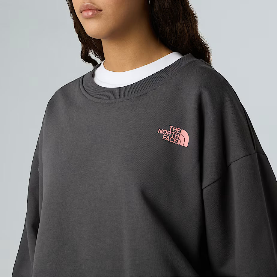 THE NORTH FACE Oversize Expedition Celebration Unisex Sweatshirt – ANTHRACITE GREY