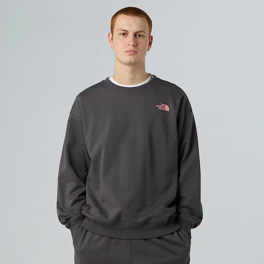 THE NORTH FACE Oversize Expedition Celebration Unisex Sweatshirt – ANTHRACITE GREY