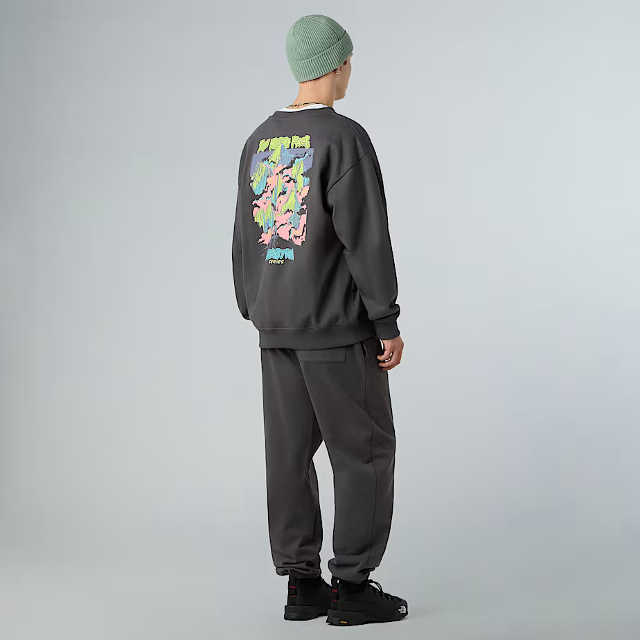 THE NORTH FACE Oversize Expedition Celebration Unisex Sweatshirt – ANTHRACITE GREY