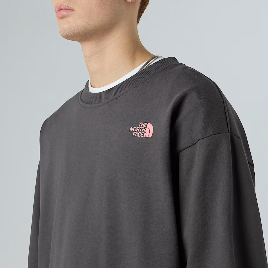 THE NORTH FACE Oversize Expedition Celebration Unisex Sweatshirt – ANTHRACITE GREY