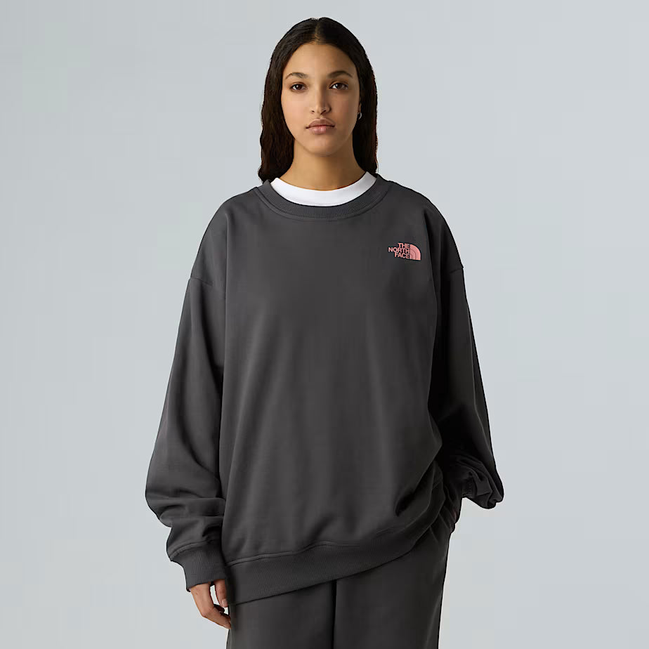 THE NORTH FACE Oversize Expedition Celebration Unisex Sweatshirt – ANTHRACITE GREY