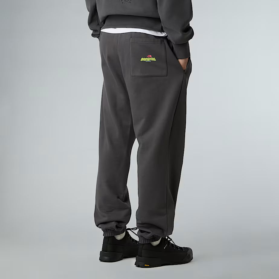 THE NORTH FACE Joggers Expedition Celebration Relaxed Unisex Pants – ANTHRACITE GRAY