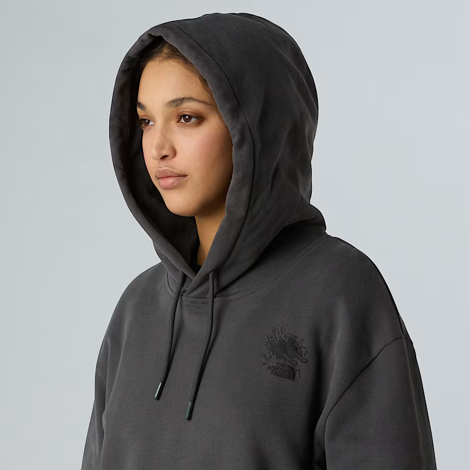THE NORTH FACE Powder Days Relaxed Graphic Unisex Hoodie - ASPHALY GRAY