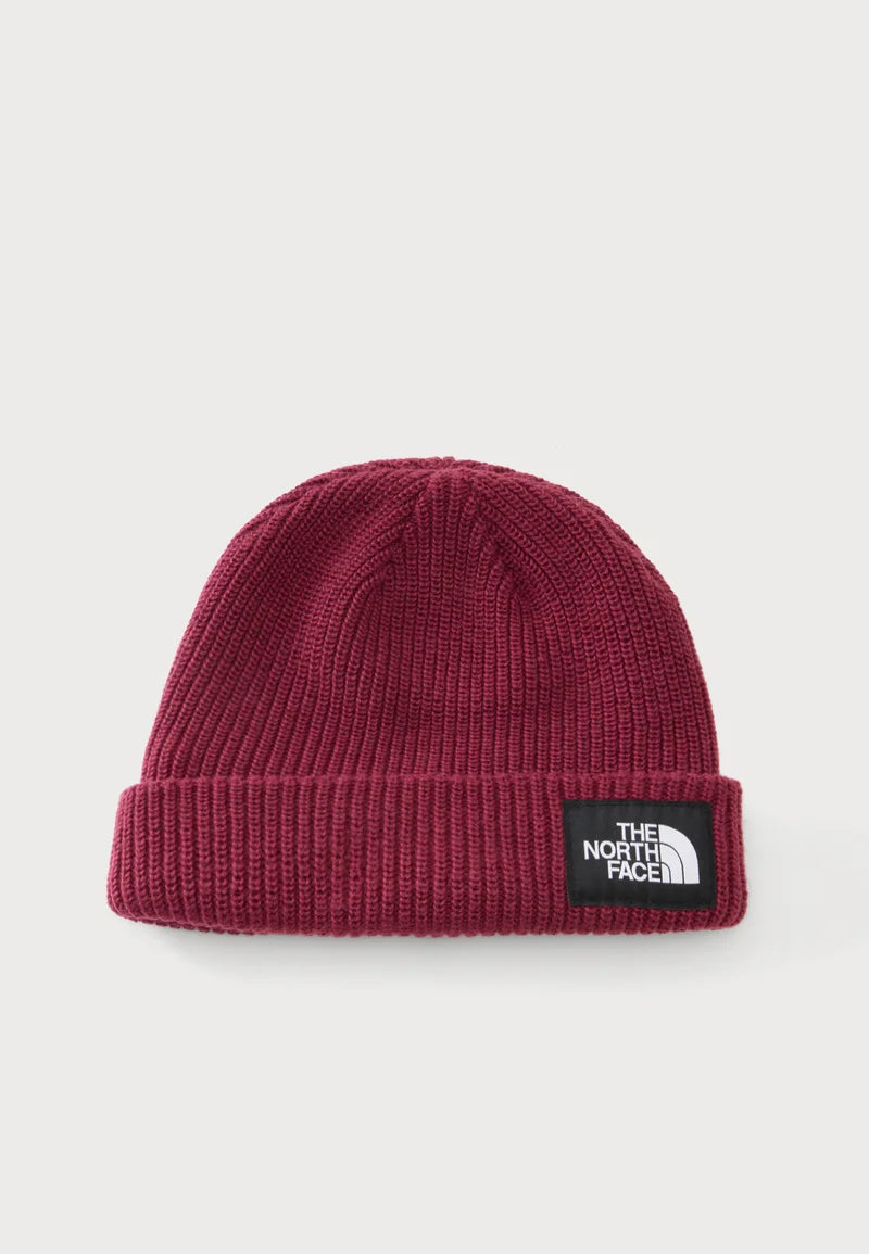 Berretto The North Face Salty Lined Beanie Unisex  - Burgundy Crush